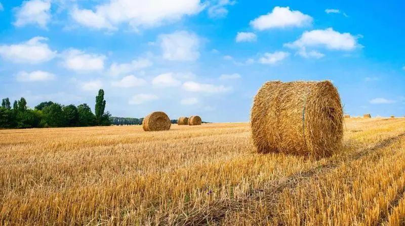 1683679116160401.jpg 微信圖片_20230510083725.jpg