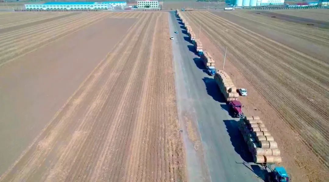 1683767345940128.jpg 微信圖片_20230511090831.jpg