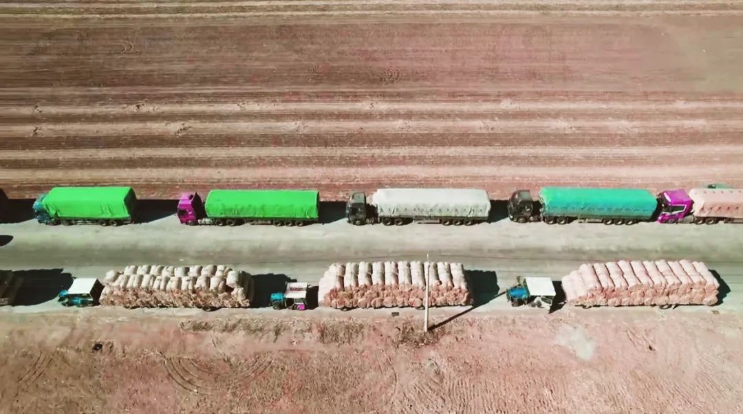 1683767357286102.jpg 微信圖片_20230511090843.jpg