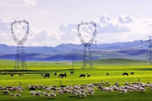 喜報 | 九洲集團子公司沈陽昊誠電氣中標(biāo)內(nèi)蒙古電力（集團）兩包環(huán)網(wǎng)柜和箱變合同