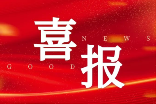 喜報！智能配電網事業(yè)部榮獲2025年黑龍江省工人先鋒號（巾幗標兵崗）榮譽稱號